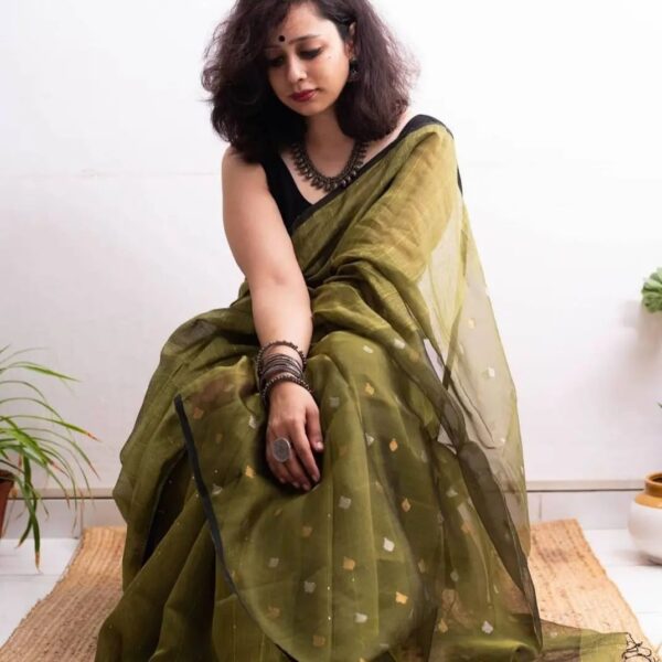 Linen Saree With Sequence Work