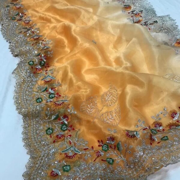 Organza Saree With Fine Embroidery and Cutwork